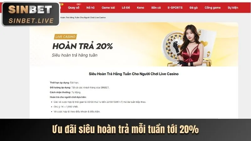 Chiến lược cá cược thể thao Sinbet